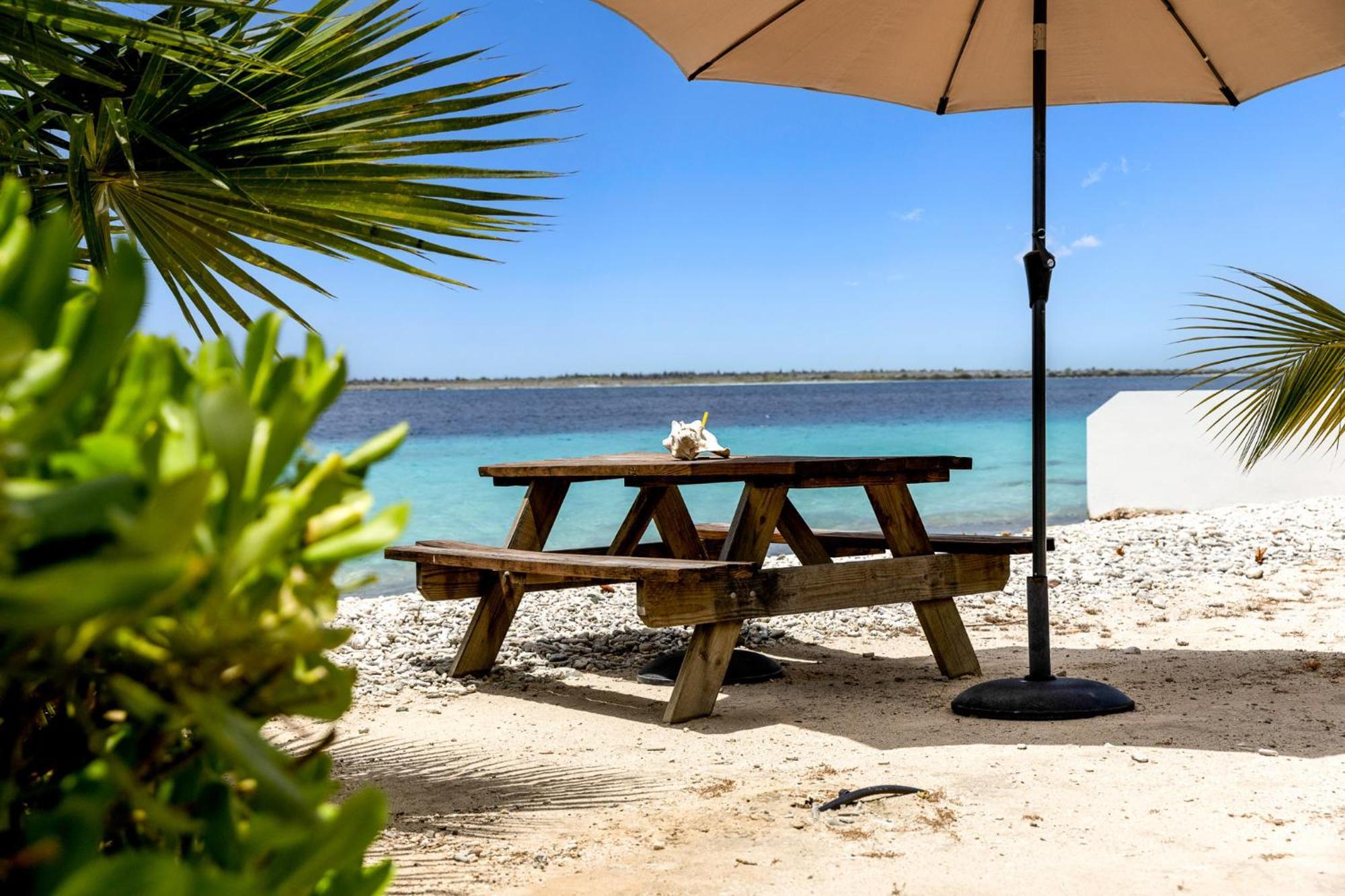 Oceanfront - Villa Port Of Call - Kralendijk  Ngoại thất bức ảnh